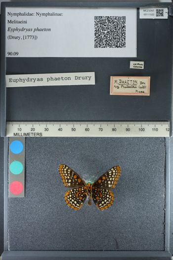 Media type: image;   Entomology 111522